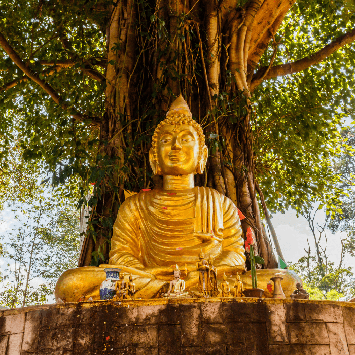 eastern-perspectives-on-consciousness