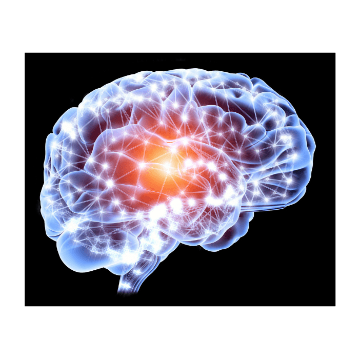 the-concept-of-materialism-in-consciousness