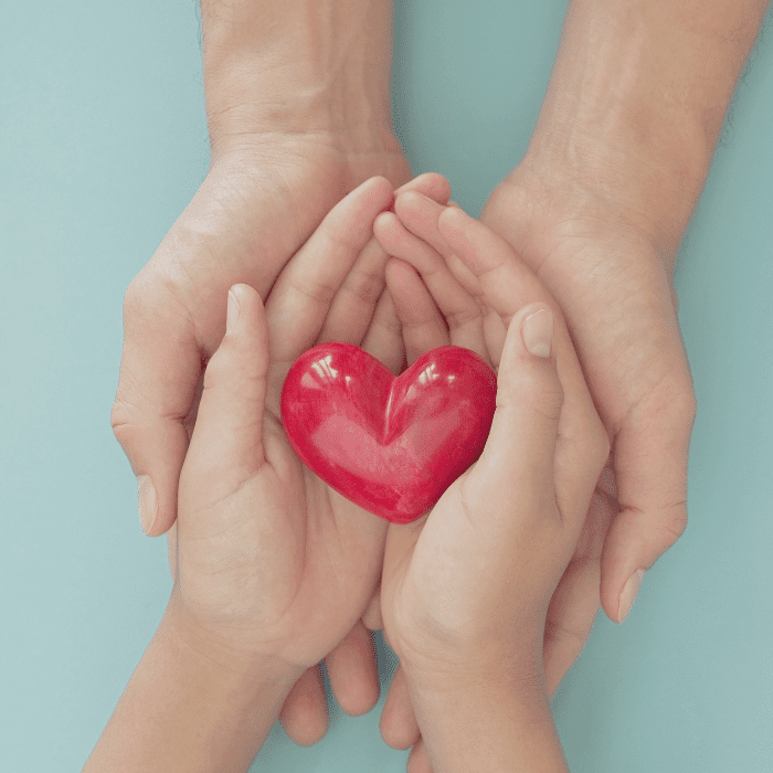 the-importance-of-gratitude-in-the-law-of-attraction