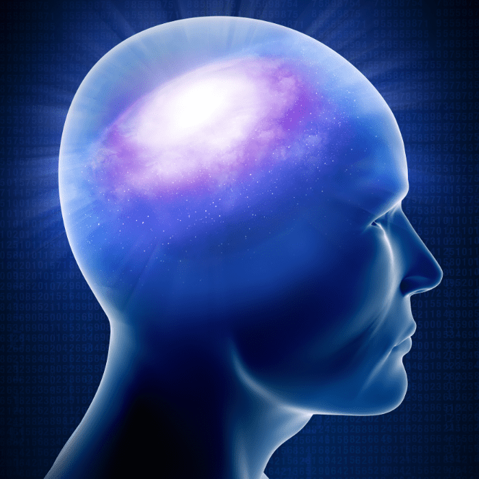 The Philosophy of Duality In Consciousness 1 the-philosophy-of-duality-in-consciousness