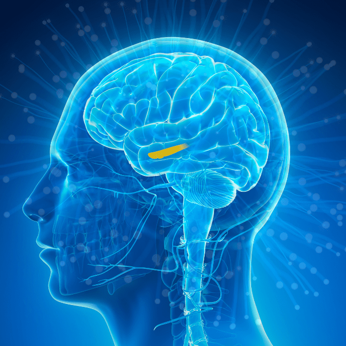 the-role-of-consciousness-in-personal-development-and-self-awareness