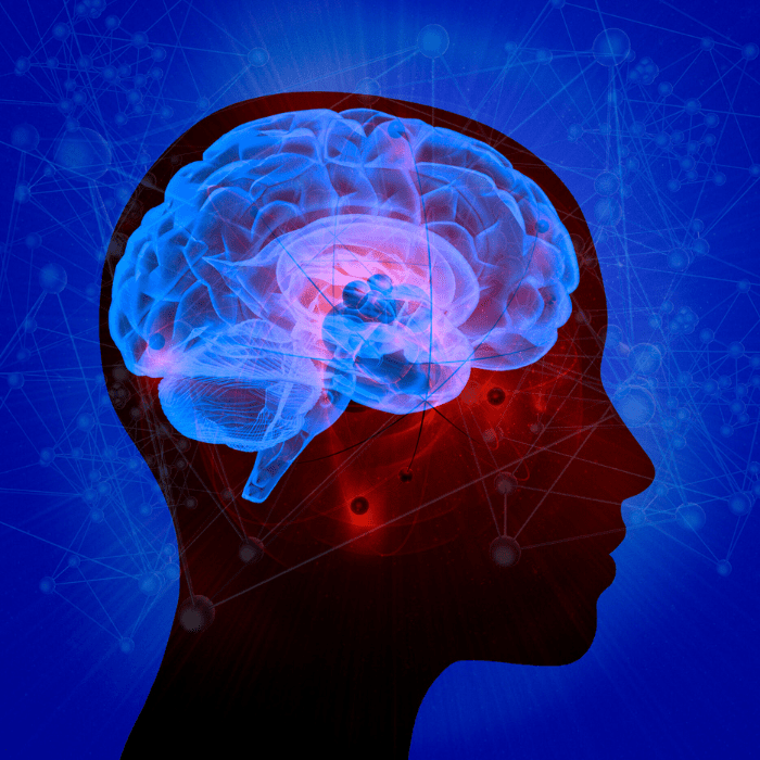 the-science-behind-the-law-of-attraction