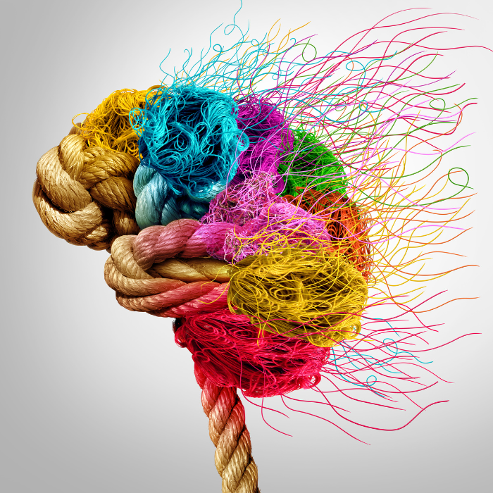 the-science-of-conscious-thought