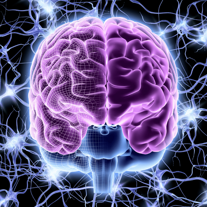 transcendental-meditation