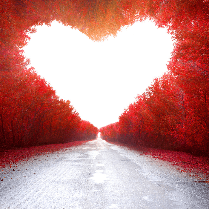 unlocking-the-power-of-the-law-of-attraction