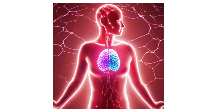 The-Mind-Body-Puzzle