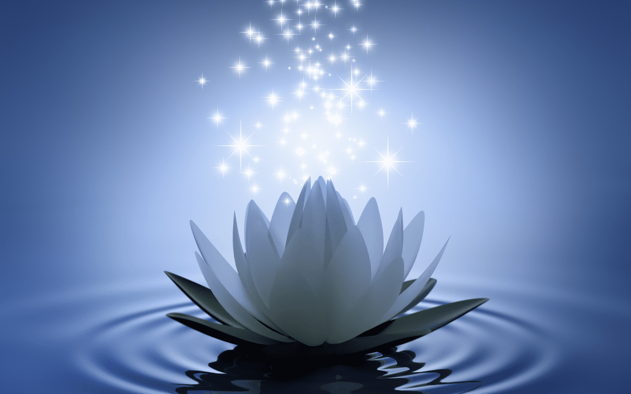 lotus spiritual