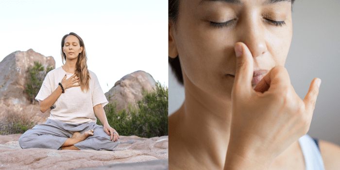 The Power Of The Pineal Gland: The Third Eye 3 the-power-of-the-pineal-gland