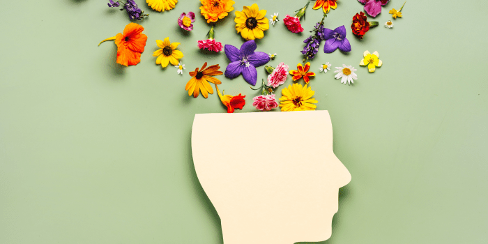 Mental Health And Wellness For Busy Professionals And Entrepreneurs 2 mental-health-for-busy-professional