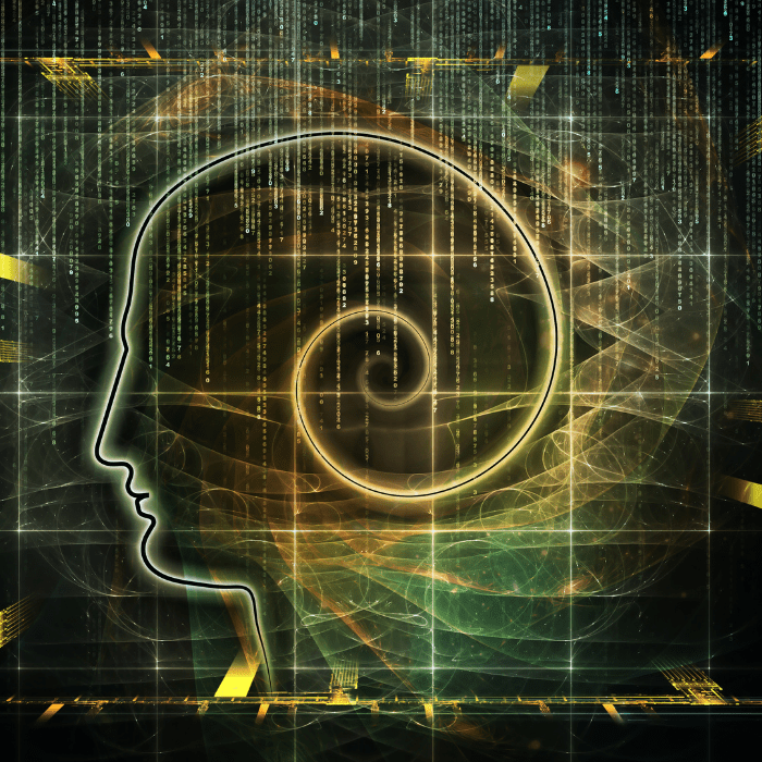 what-are-the-different-states-of-consciousness