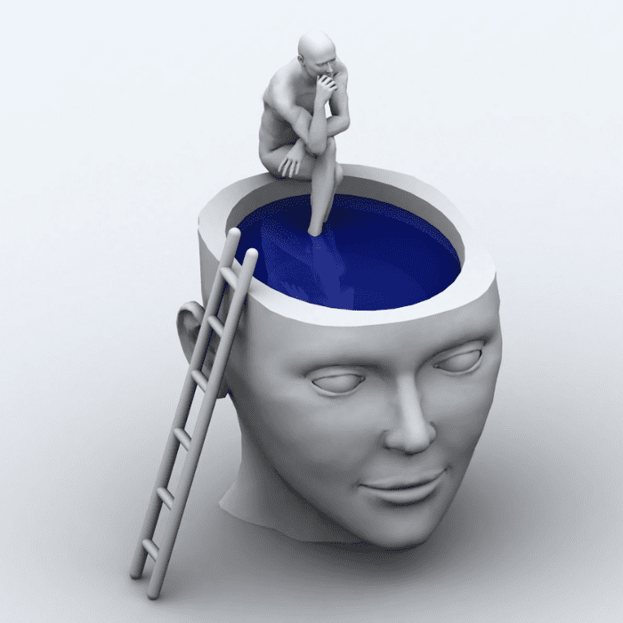 700 x 700 2024 12 16T120702.722