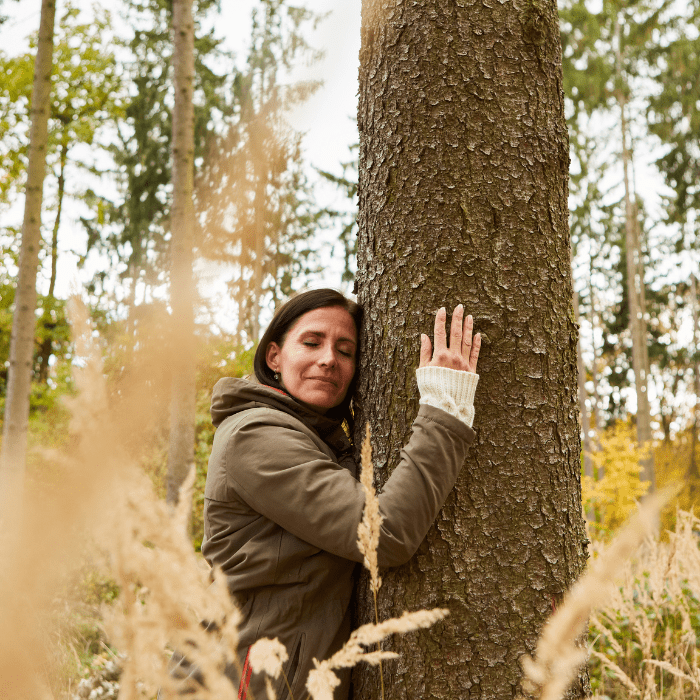 700 x 700 2024 12 17T213508.075