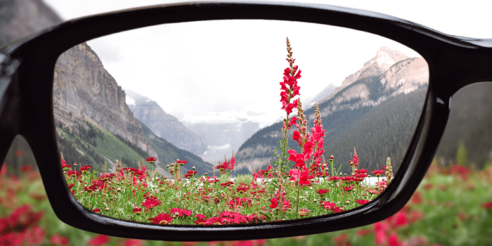 the-role-of-gratitude-in-enhancing-your-law-of-attraction-practice