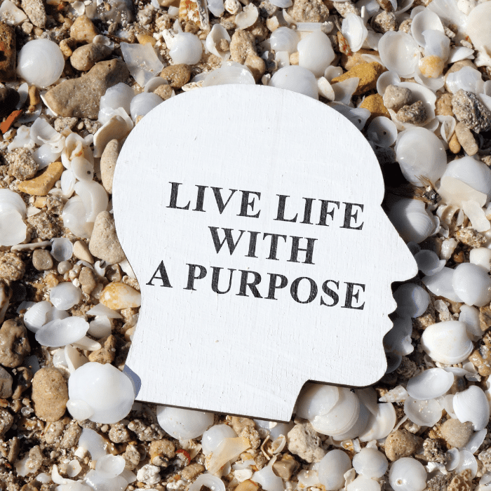 chasing-your-passion-with-purpose