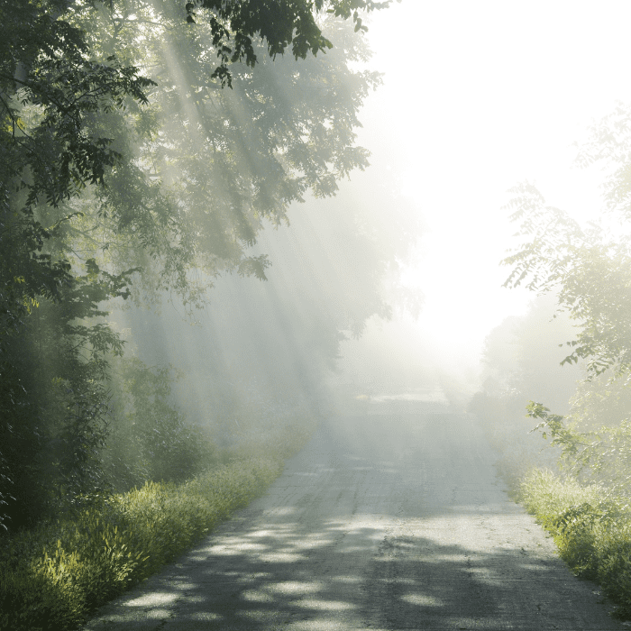 The Biggest Questions About Life: Exploring Meaning, Purpose, and Existence 3 who-or-what-is-god?