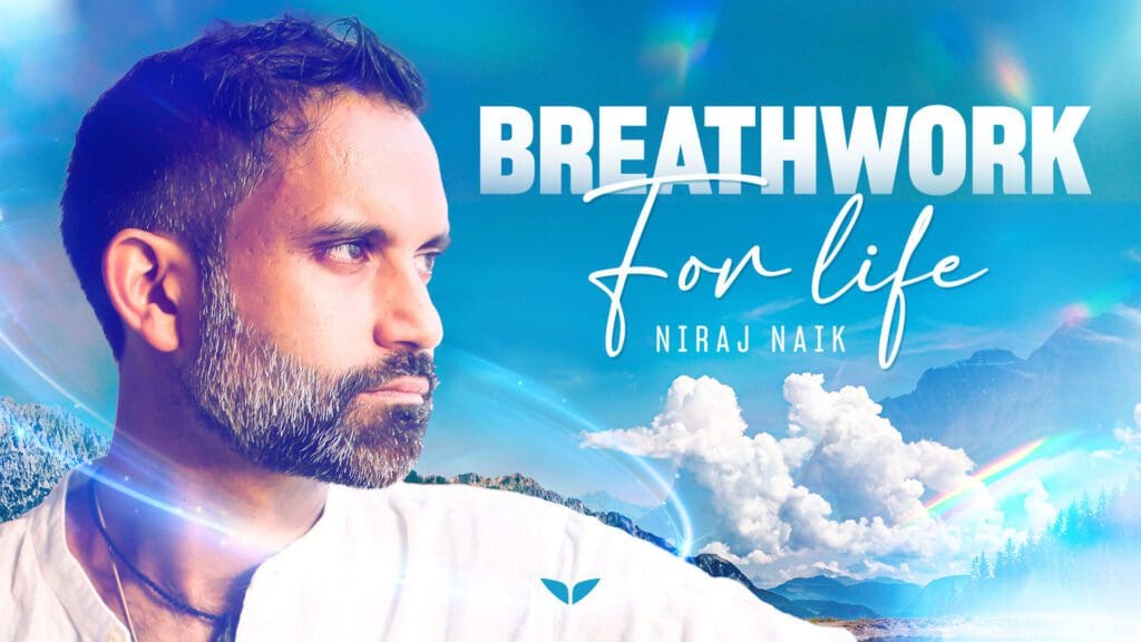 MV Quest Cover 1920x1080 EN 2